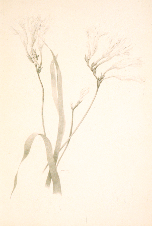 1977_23_5.jpg