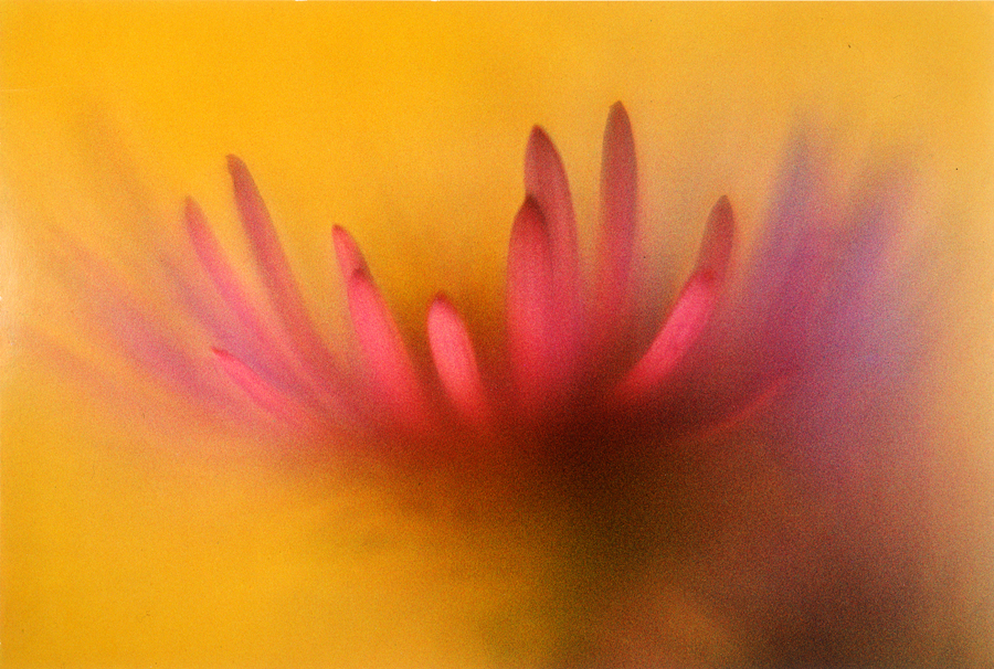 1977_14_5.jpg