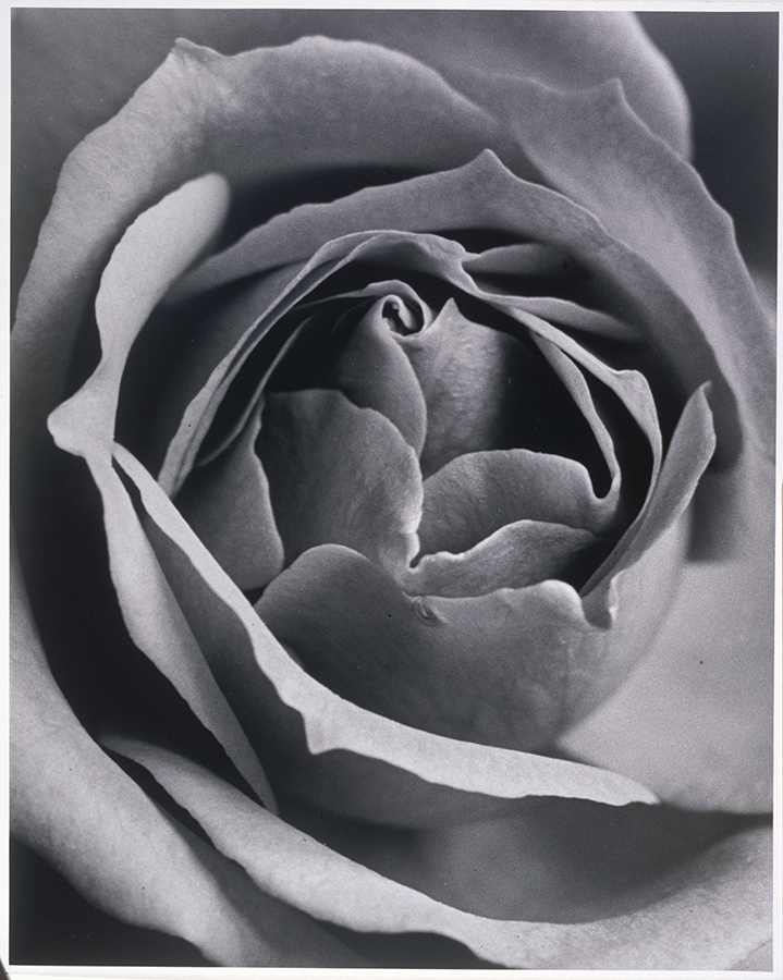 1977_4_9.jpg
