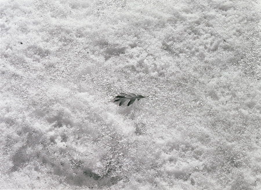 1977_29_7.jpg