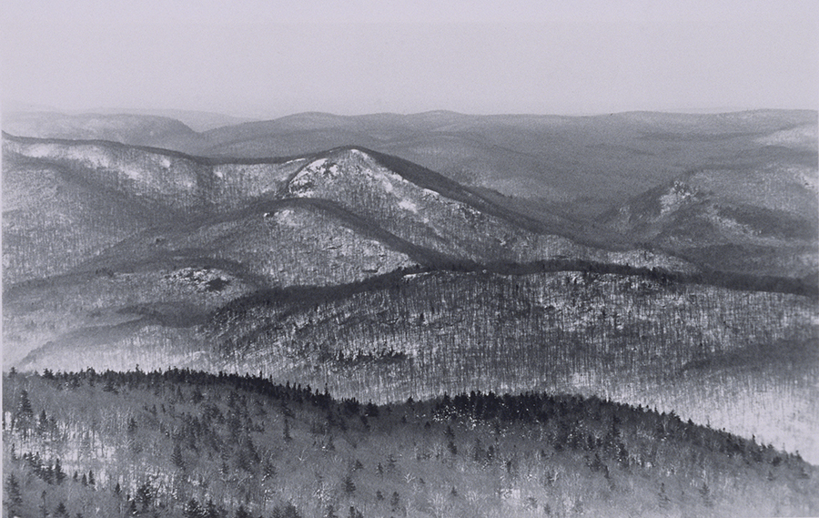 1977_47.jpg