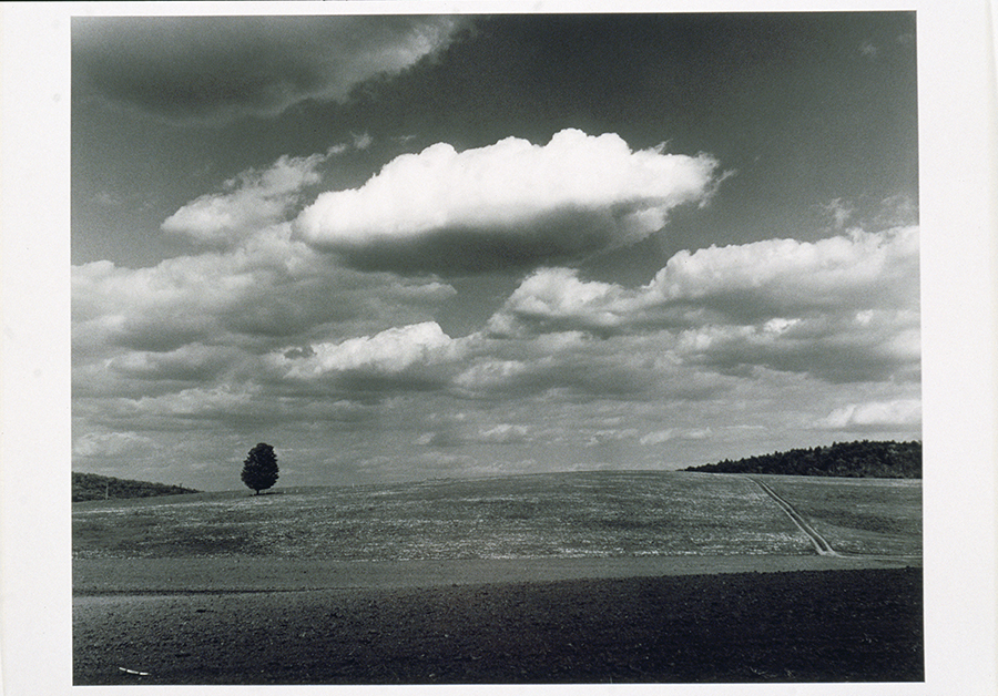 1977_54_1.jpg