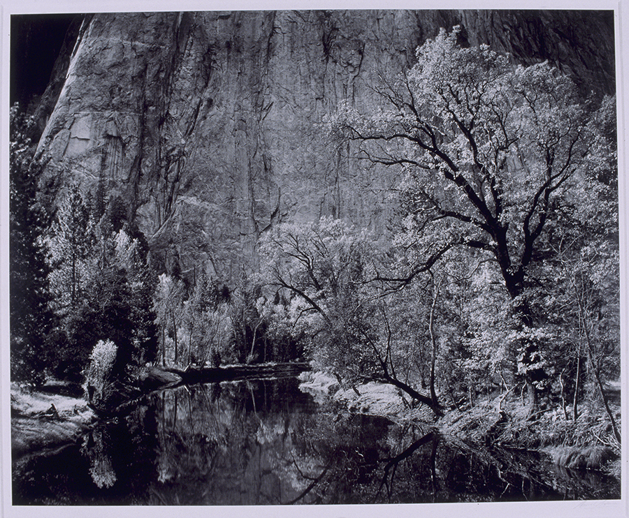 1977_61_3.jpg