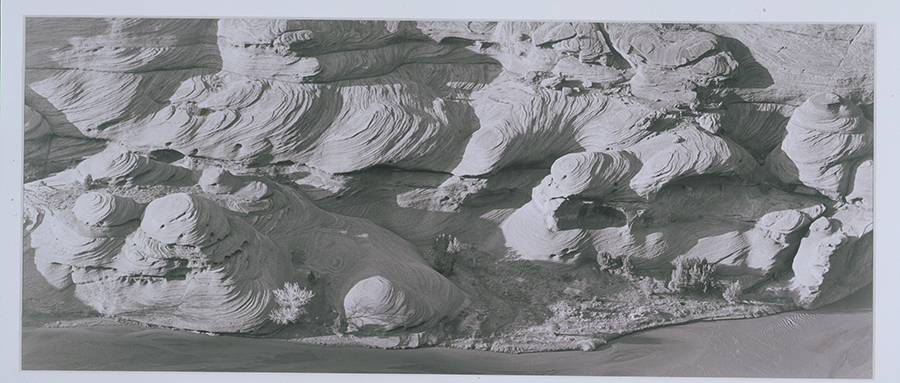 1978_8.jpg