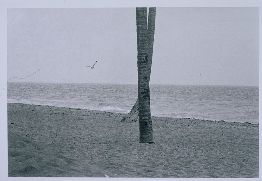 1981_22_5.jpg