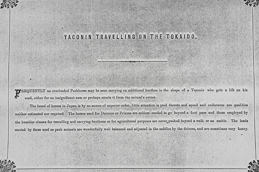 1982_38_2_34.jpg
