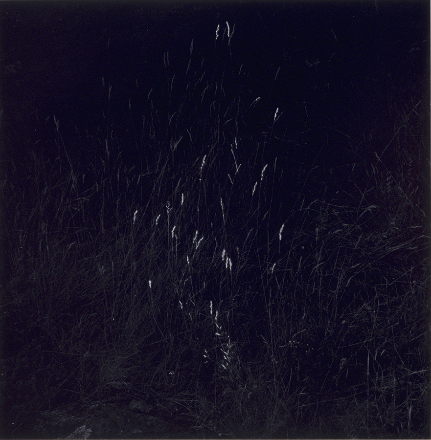1983_44_44.jpg