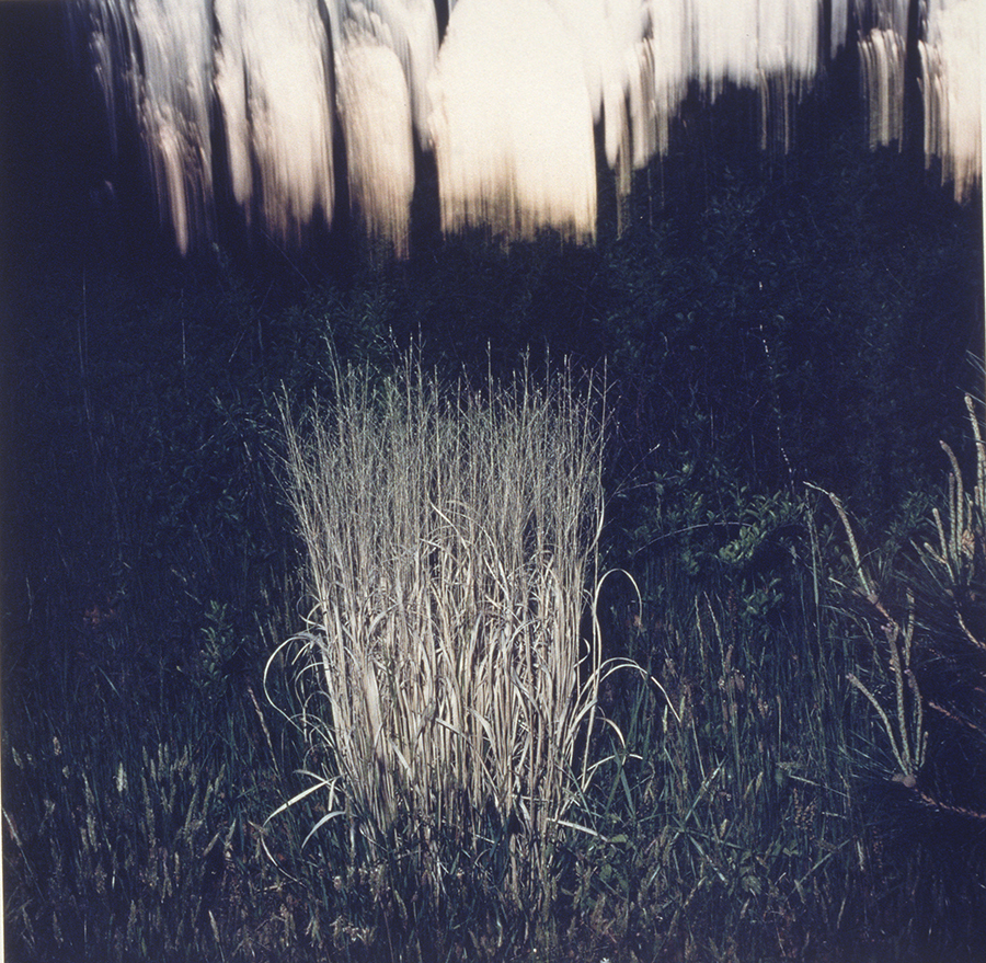 1986_4_2.jpg