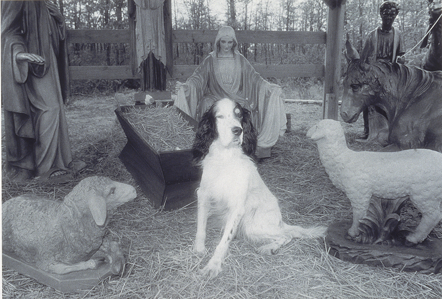 1986_4_1.jpg