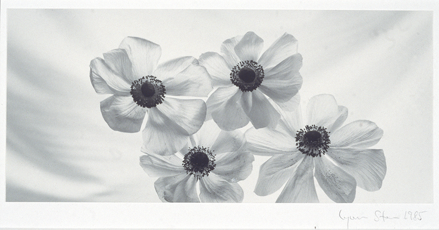 1988_43_3.jpg