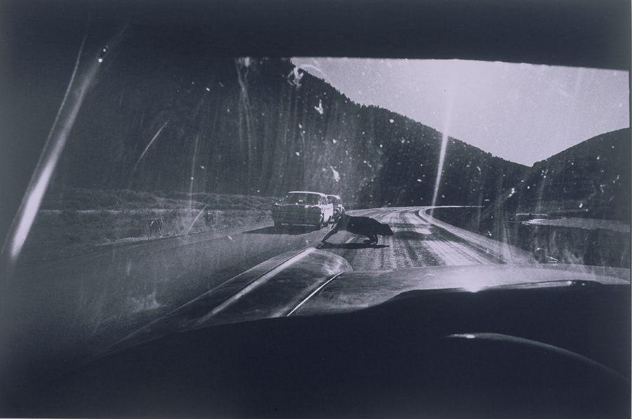 1992_55_3.jpg
