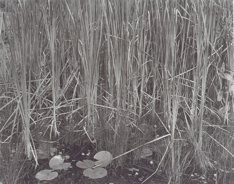 1996_15_2.jpg