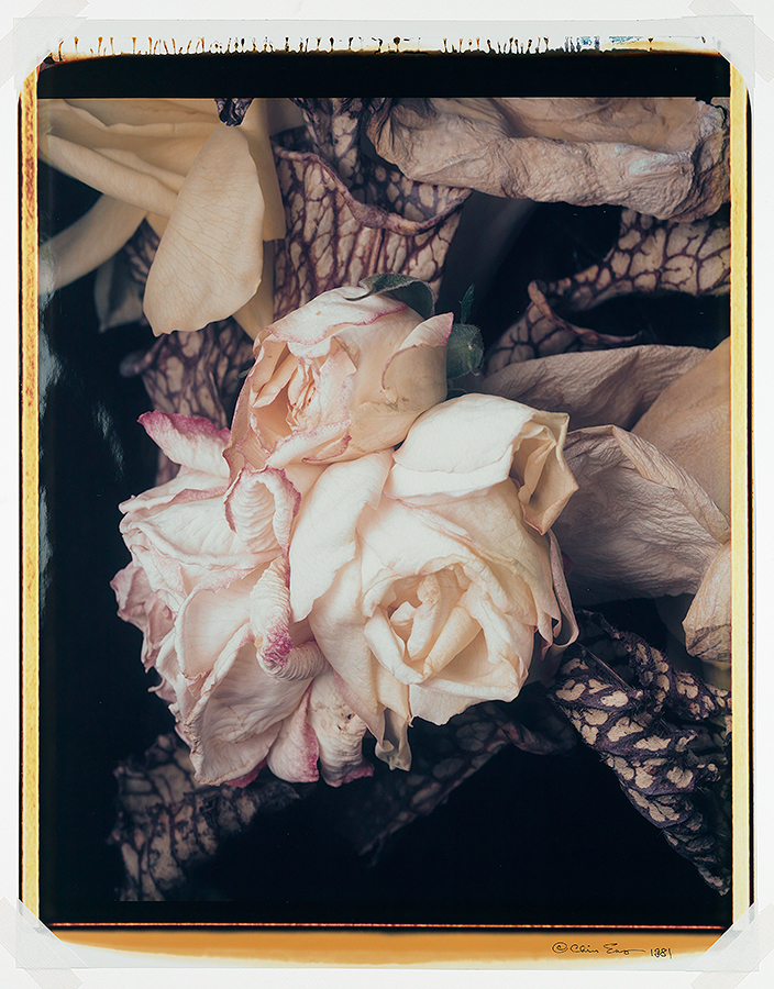1983_32.jpg