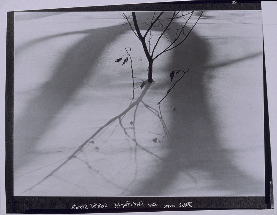 1983_43_6.jpg