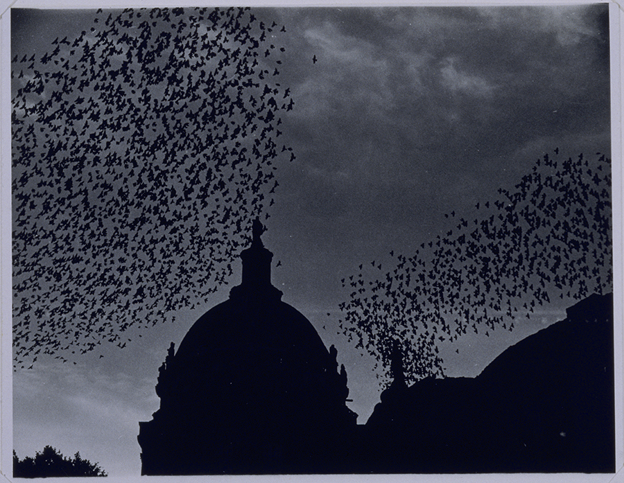 1984_25_16.jpg
