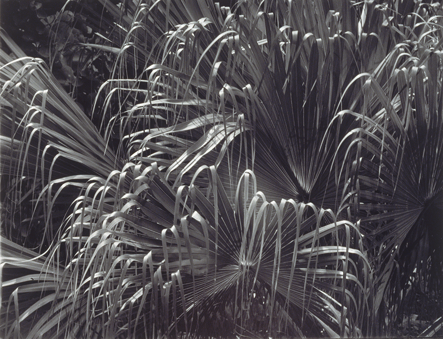 1984_25_26.jpg