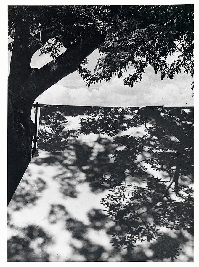 1979_45_4.jpg