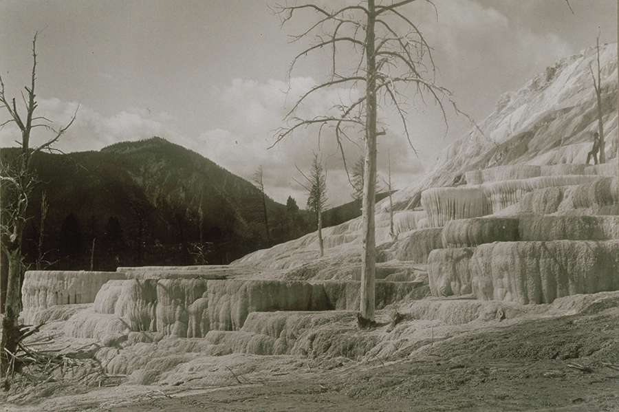 1982_38_288.jpg