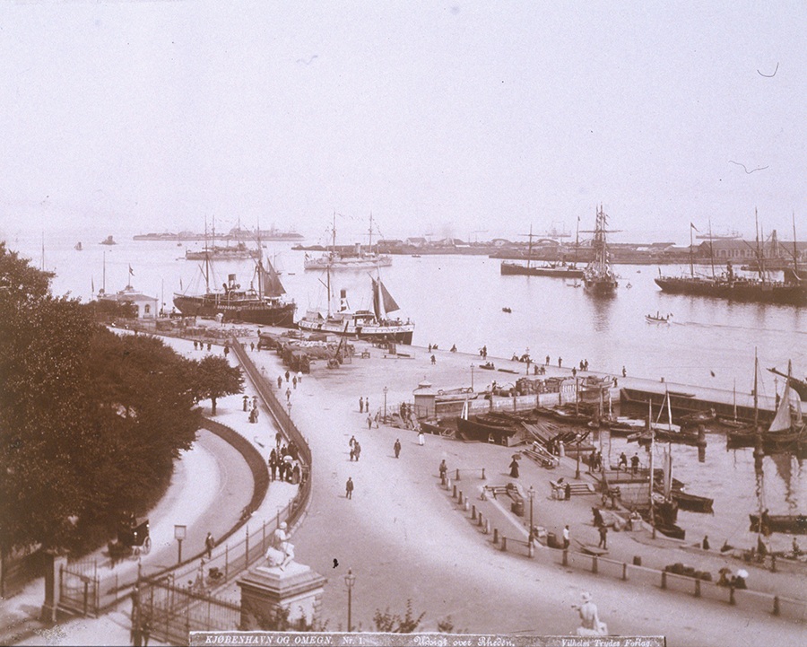 1982_38_445.jpg