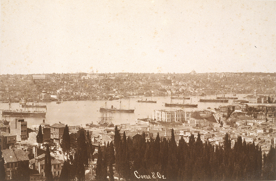 1982_38_782.jpg
