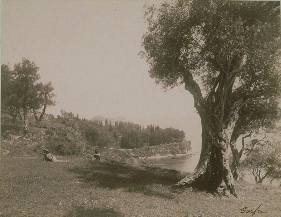 1982_38_916.jpg