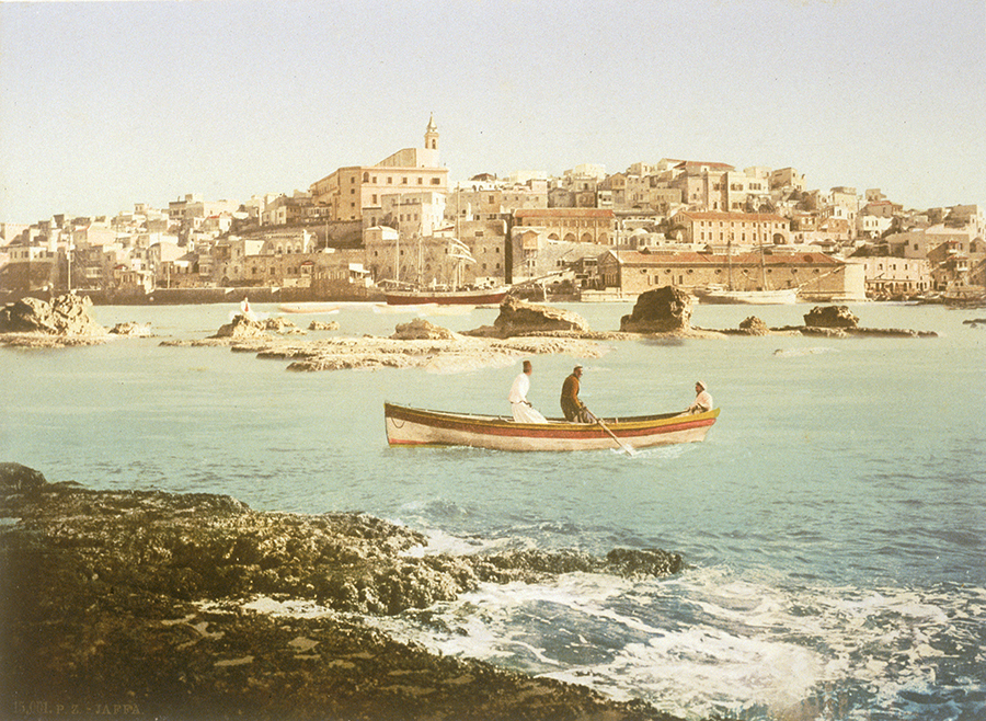 1982_38_1304_1.jpg