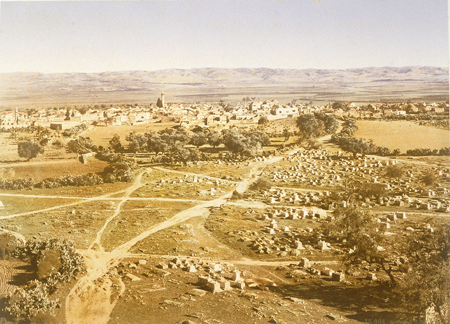 1982_38_1304_2.jpg