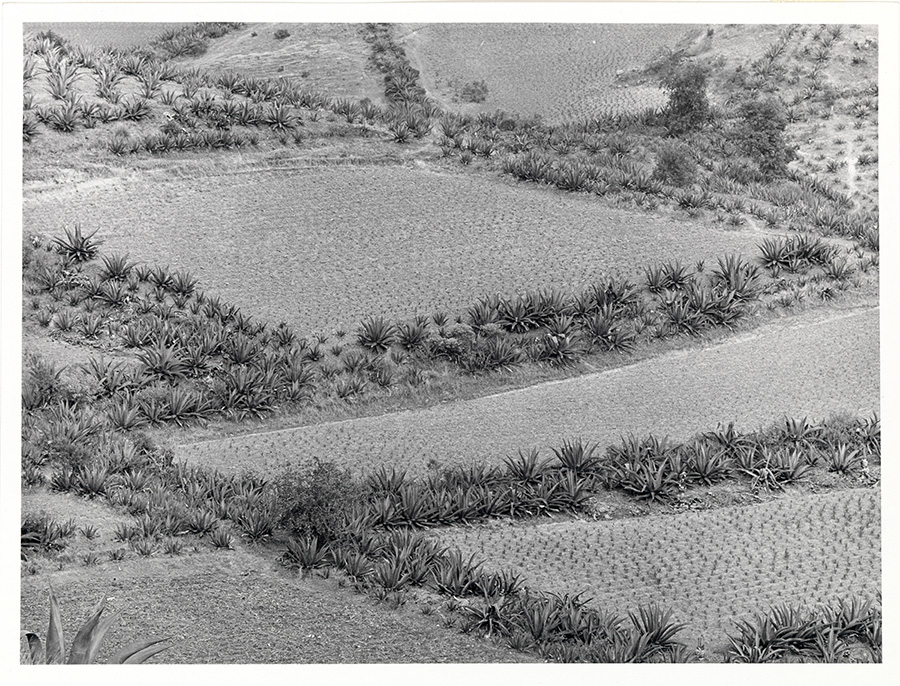 1979_45_2.jpg
