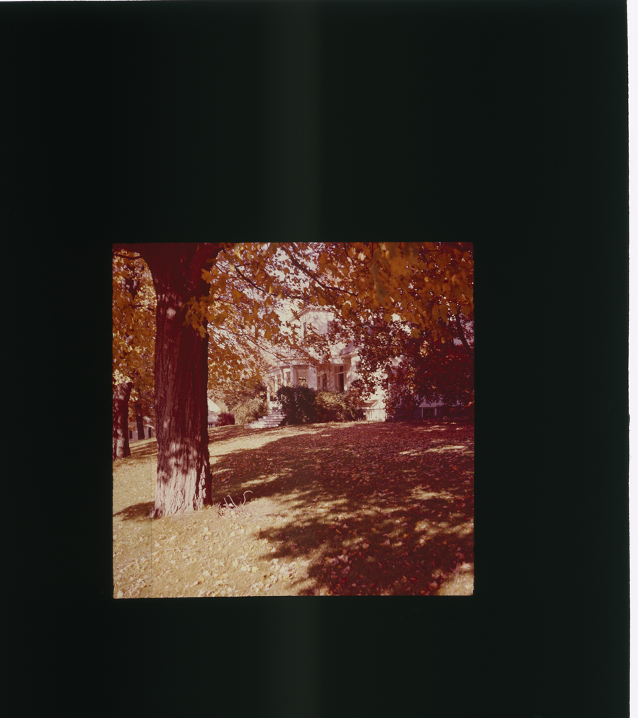 1979_2_16.jpg