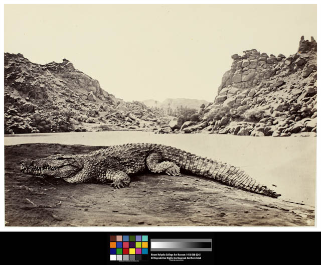 mh_1982_10_1_26_v1_01.jpg