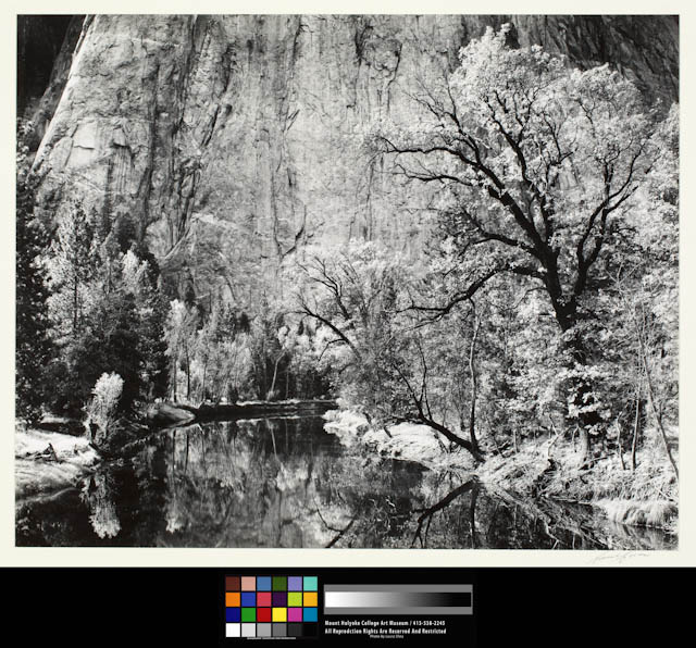 mh_1991_23_2_2_v1_01.jpg