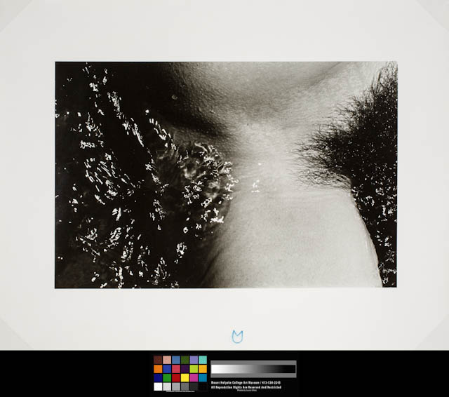 mh_1989_l17_15_v1_01.jpg