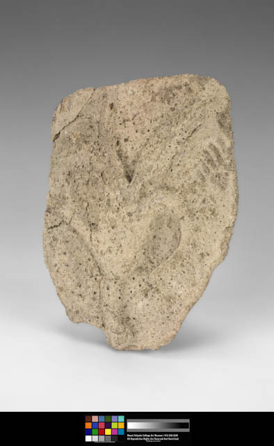 mh_26_f_a_v1_01.jpg