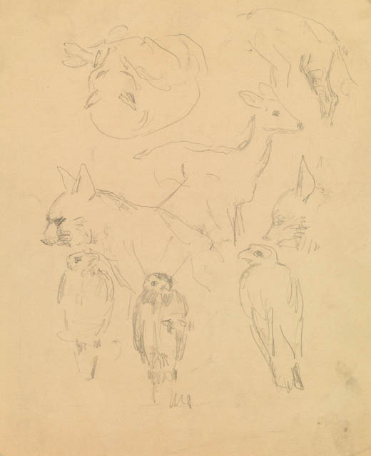 mh_1962_1_n_riv_v1.jpg