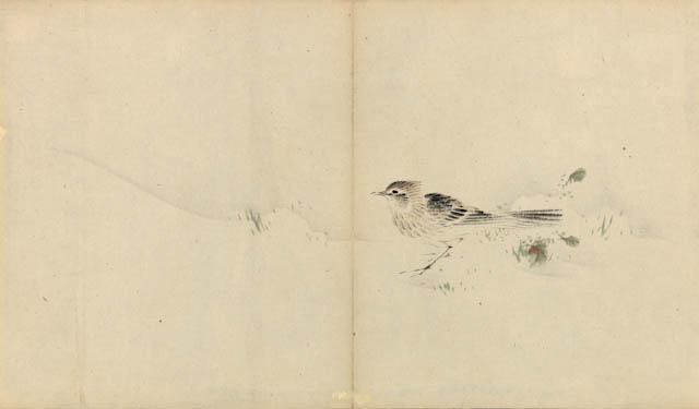 mh_1975_19_23_v1.jpg
