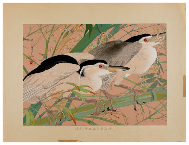 mh_1975_4_2_v1.jpg