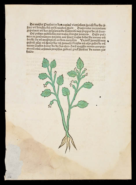 mh_1986_37_5_v1_01.jpg