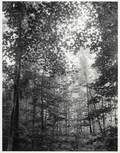 mh_1989_l17_3_v1_01.jpg
