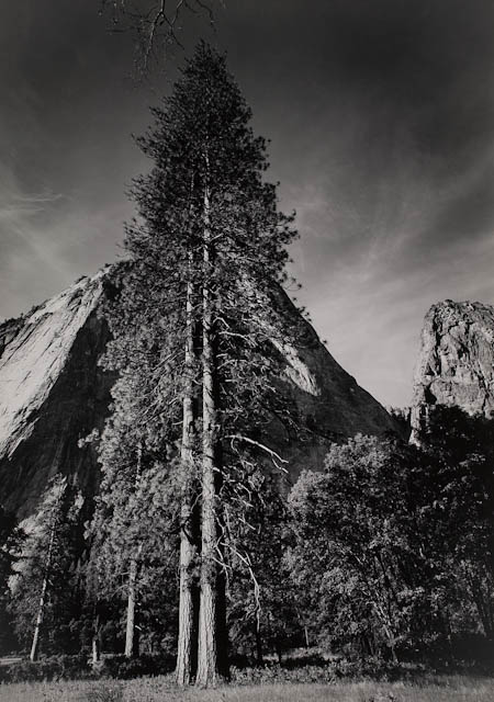 mh_1991_23_2_15_v1.jpg