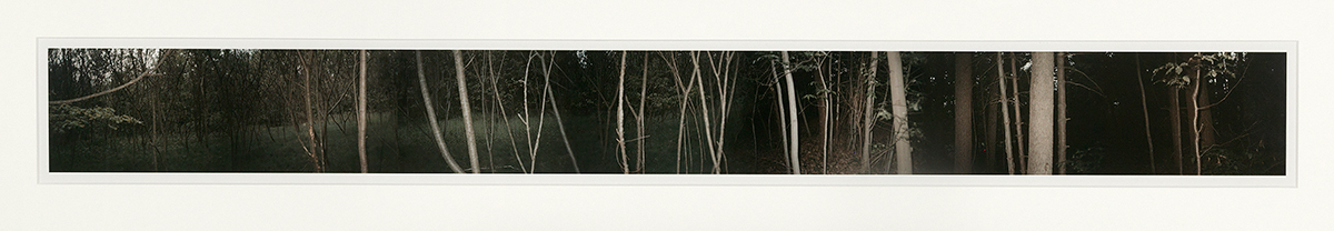 2017_54_1.jpg