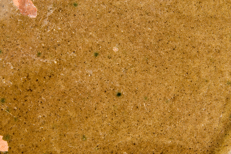 2008-18-4f.jpg