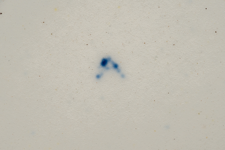 1964-291f.jpg