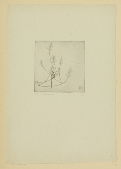 mh_1991_4_173_5_v1_01.jpg