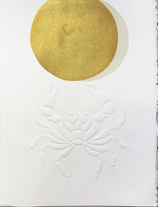 © Willow Legge and Circle Press Publications