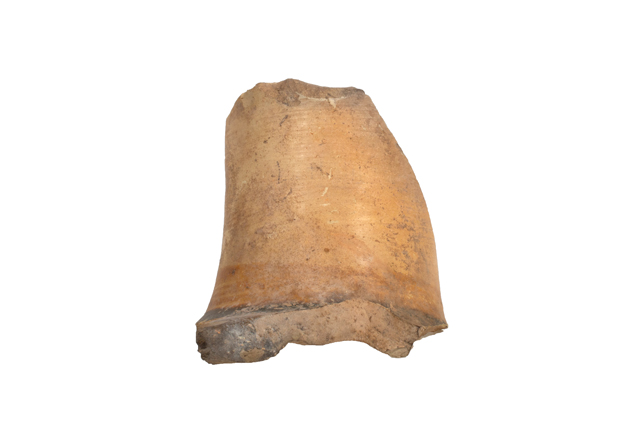 mh_21_b_ai_71_v1_01.jpg