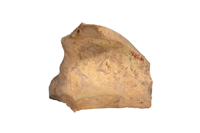 mh_21_b_ai_71_v1_01.jpg