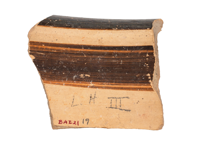 mh_21_b_ai_71_v1_01.jpg