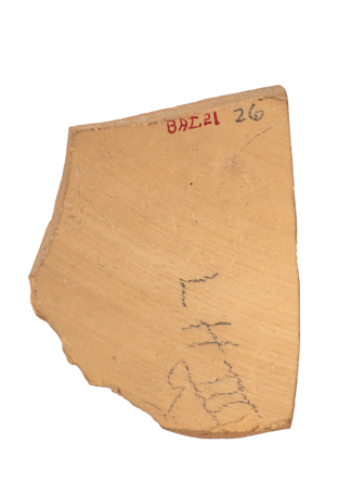 mh_21_b_ai_71_v1_01.jpg