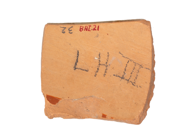 mh_21_b_ai_71_v1_01.jpg