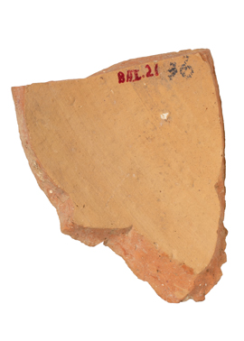 mh_21_b_ai_71_v1_01.jpg